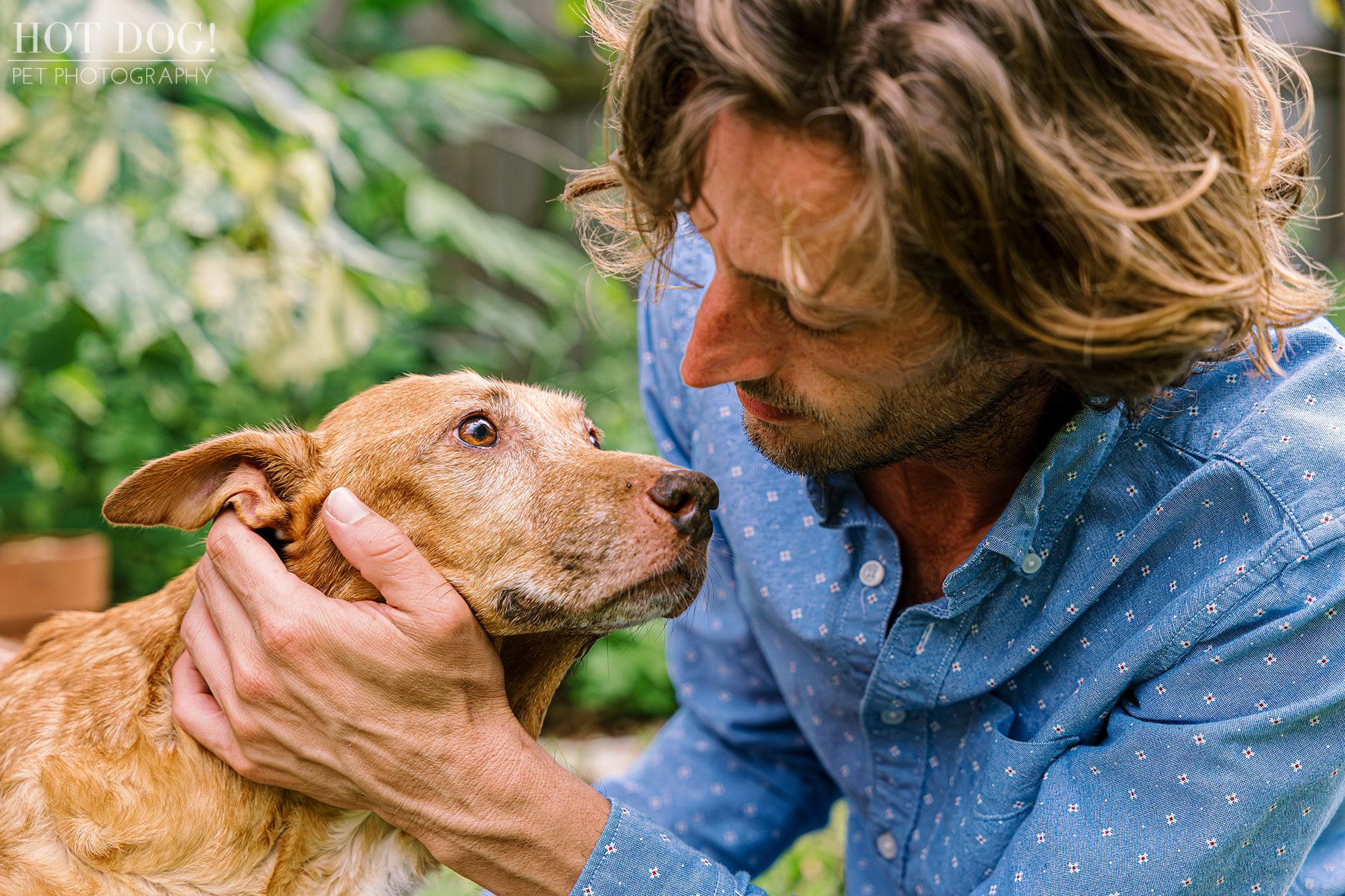 Tan dog, Adelaide, cradled in someone's arms. Photo by Hot Dog! Pet Photography.