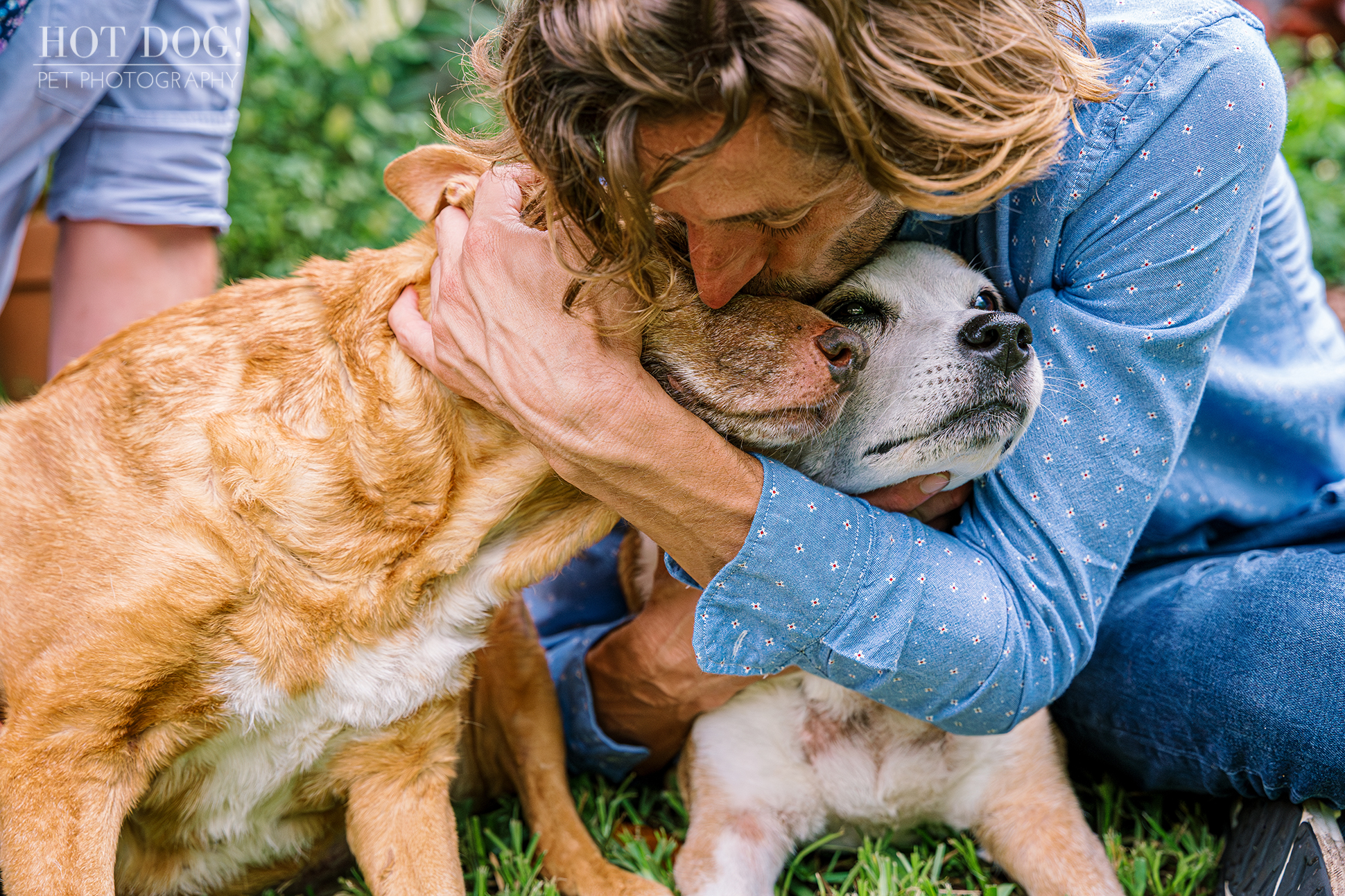 Two dogs, Adelaide and Aeva, nuzzling. Photo by Hot Dog! Pet Photography.