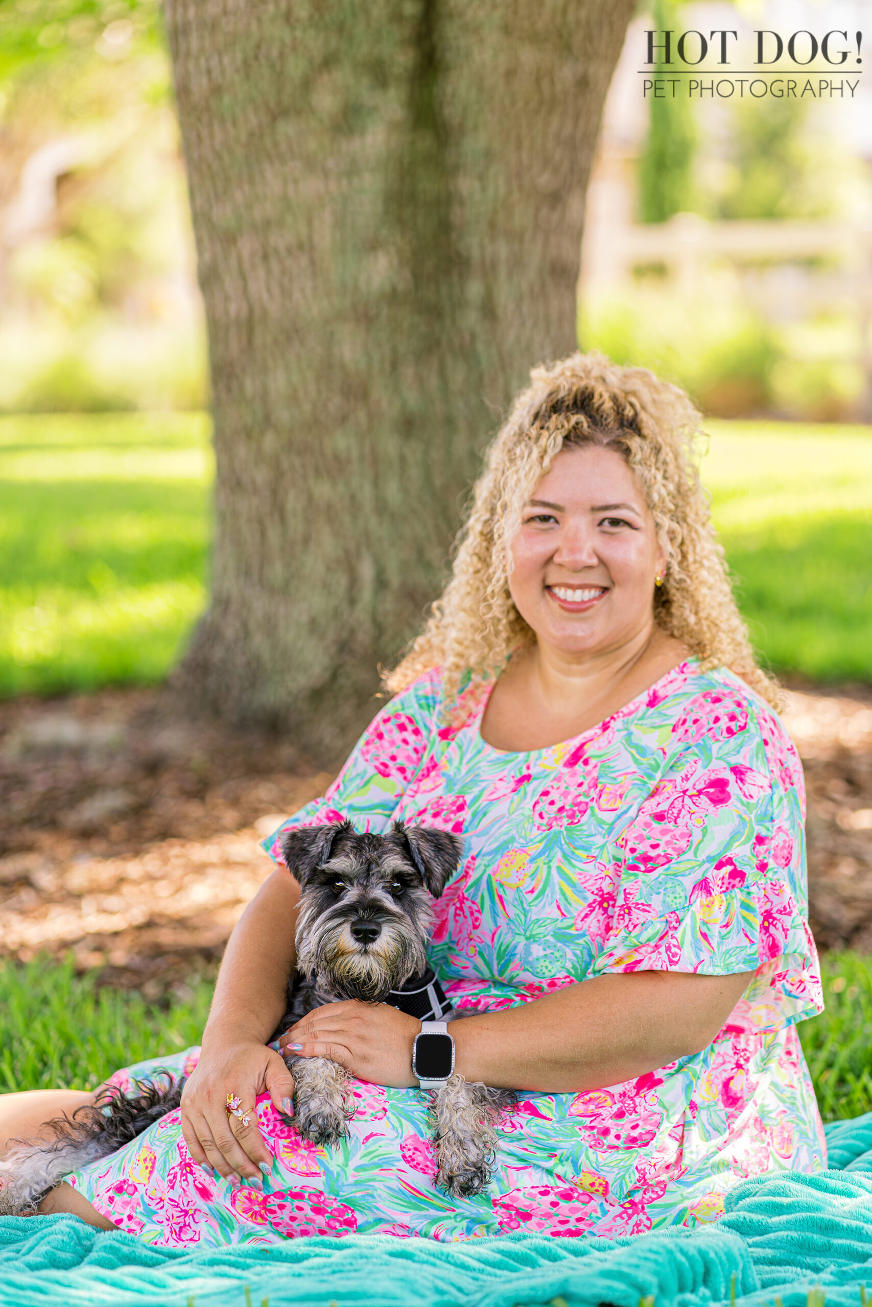 A professional photo capturing the adorable charm of a miniature schnauzer puppy in a sunny Saint Cloud, Florida setting.