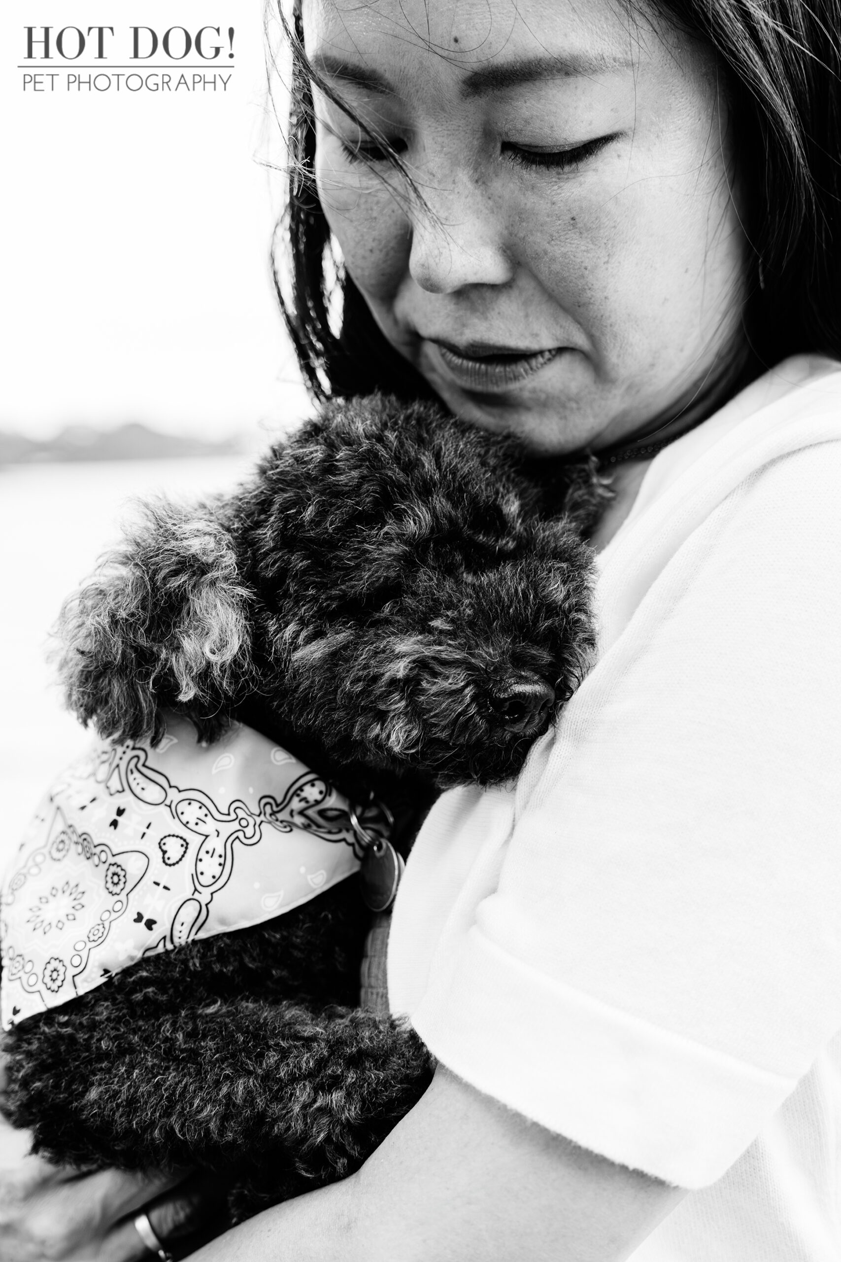 A woman lovingly cradles a dog in her arms, showcasing a bond of affection and companionship.