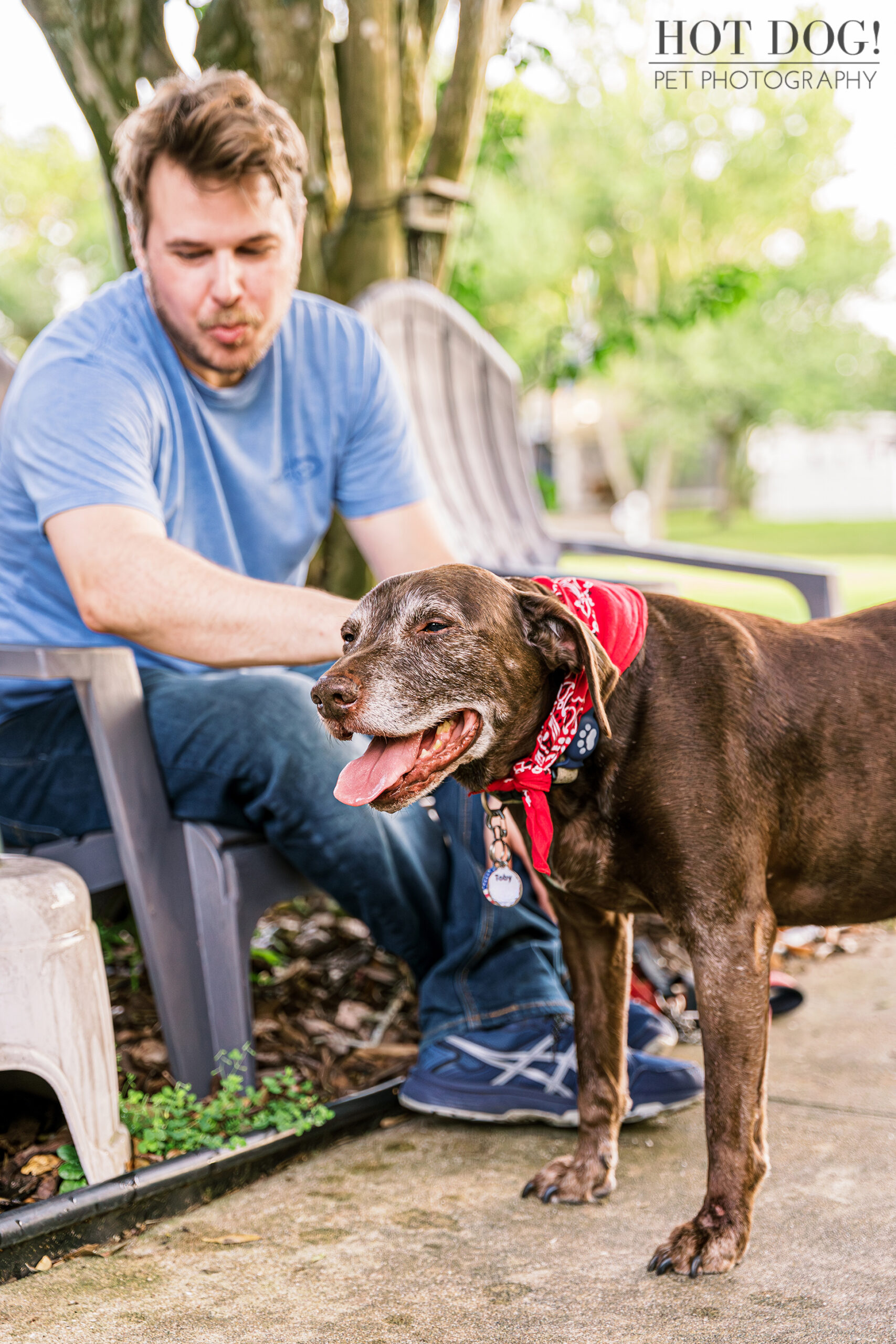 Celebrating the Bond: Senior Dog Photography with Toby and Tyler.