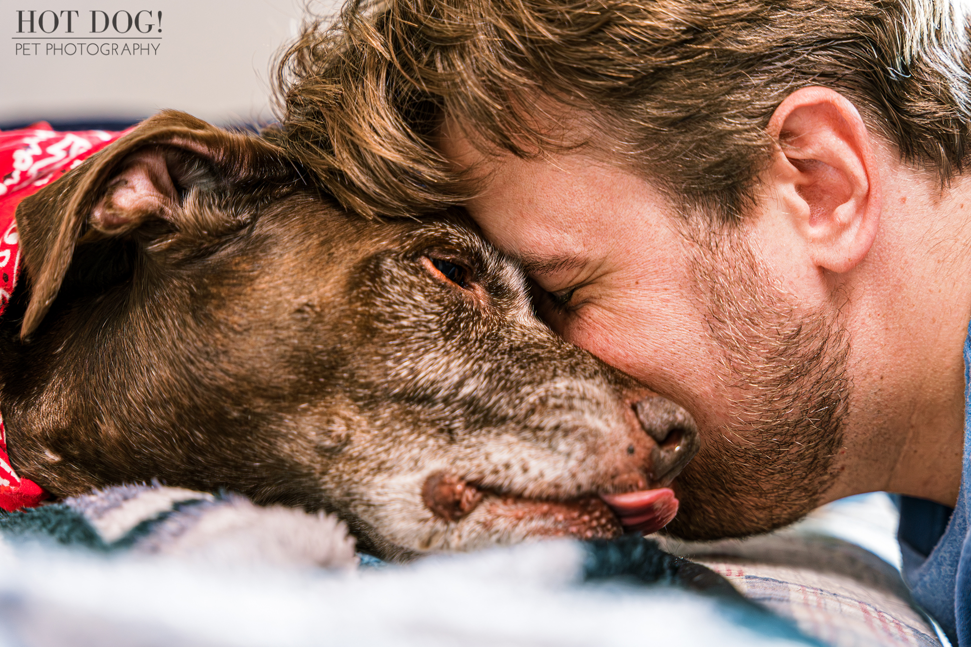 Love Story in Photos: A Senior Dog and His Owner.